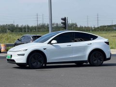 Tesla Model Y Rear-Wheel Drive - ფოტო 10