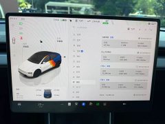 Tesla Model Y Rear-Wheel Drive - ფოტო 7