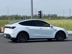 Tesla Model Y Rear-Wheel Drive - ფოტო 8