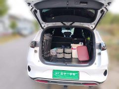 Denza X 2020 PHEV Premier Edition - ფოტო 20