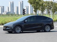 Tesla Model Y L Long Range All-Wheel Drive - ფოტო 10