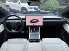 Tesla Model Y L Long Range All-Wheel Drive - ფოტო 12