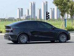 Tesla Model Y L Long Range All-Wheel Drive - ფოტო 17
