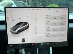 Tesla Model Y L Long Range All-Wheel Drive - ფოტო 7
