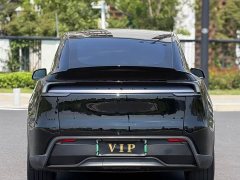 Tesla Model Y L Long Range All-Wheel Drive - ფოტო 9