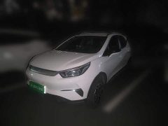 BYD Yuan Pro Love for Life Edition - ფოტო 1