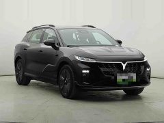 Voyah Lantu Zhiyin 2024 Four-Wheel Drive Global Edition - ფოტო 3
