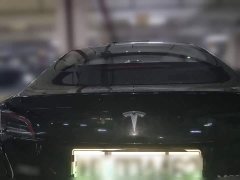 Tesla Model 3 Rear-Wheel Drive - ფოტო 1