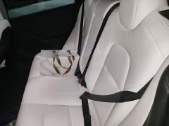 Tesla Model 3 Rear-Wheel Drive - ფოტო 13