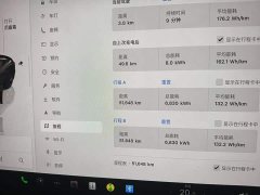 Tesla Model 3 Rear-Wheel Drive - ფოტო 8