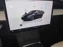 Tesla Model 3 Rear-Wheel Drive - ფოტო 9