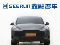 Tesla Model Y Rear-Wheel Drive - ფოტო 2