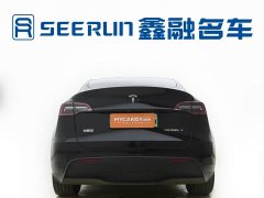 Tesla Model Y Rear-Wheel Drive - ფოტო 7