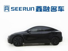 Tesla Model Y Rear-Wheel Drive - ფოტო 8