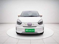 BYD Clever 311km Vitality Pop Edition - ფოტო 2