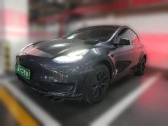 Tesla Model Y Rear-Wheel Drive - ფოტო 1