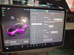 Tesla Model Y Rear-Wheel Drive - ფოტო 20