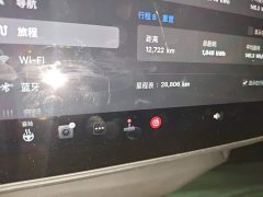 Tesla Model Y Rear-Wheel Drive - ფოტო 8