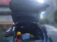 BYD Song Plus New Energy DM-i 110KM Flagship Plus - ფოტო 20