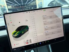 Tesla Model Y Rear-Wheel Drive - ფოტო 7