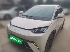 BYD Seagull Freedom Edition - ფოტო 1
