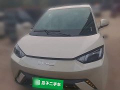 BYD Seagull Freedom Edition - ფოტო 2