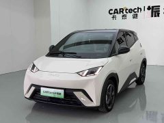BYD Seagull Glory Edition 305km Freedom Version - ფოტო 1