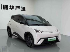 BYD Seagull Glory Edition 305km Freedom Version - ფოტო 3