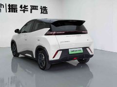 BYD Seagull Glory Edition 305km Freedom Version - ფოტო 6