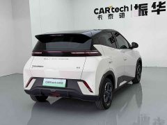 BYD Seagull Glory Edition 305km Freedom Version - ფოტო 8