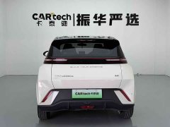BYD Seagull Glory Edition 305km Freedom Version - ფოტო 9