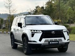 Lexus GX 2024 OVERTRAIL Peak Edition - ფოტო 3