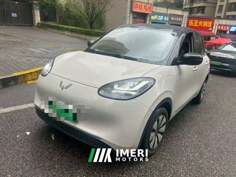2024 Wuling Binguo 333km Lingxi Connected Edition - car from China