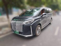 Great Wall WEY Shanshan New Energy 2023 Four-Wheel Drive Executive Extended Version - ფოტო 1