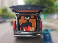 Great Wall WEY Shanshan New Energy 2023 Four-Wheel Drive Executive Extended Version - ფოტო 15