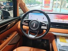 Great Wall WEY Shanshan New Energy 2023 Four-Wheel Drive Executive Extended Version - ფოტო 6