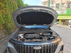 Geely Boyue L Fourth Generation 1.5TD DCT Jinxiu - ფოტო 16