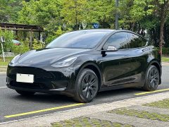 Tesla Model Y Rear-Wheel Drive - ფოტო 1