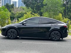 Tesla Model Y Rear-Wheel Drive - ფოტო 13