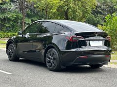 Tesla Model Y Rear-Wheel Drive - ფოტო 14