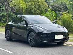 Tesla Model Y Rear-Wheel Drive - ფოტო 3