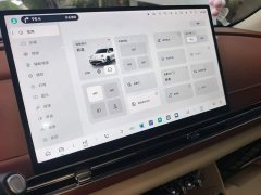 ORA Good Cat 430km Deluxe Edition - ფოტო 14