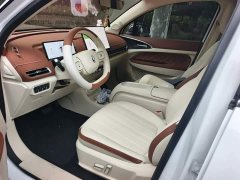 ORA Good Cat 430km Deluxe Edition - ფოტო 16