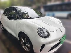 ORA Good Cat 430km Deluxe Edition - ფოტო 3