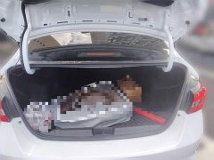 Chery Arrizo 5 Excellence Edition 1.5L CVT Fashion Type - ფოტო 20