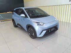 BYD Seagull 2025 305km Freedom Edition - ფოტო 3