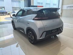 BYD Seagull 2025 305km Freedom Edition - ფოტო 4