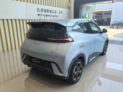 BYD Seagull 2025 305km Freedom Edition - ფოტო 6