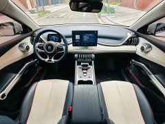 BYD Yuan Plus 430KM Premium Edition - ფოტო 17