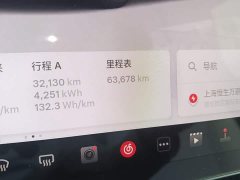 Tesla Model Y Rear-Wheel Drive - ფოტო 8